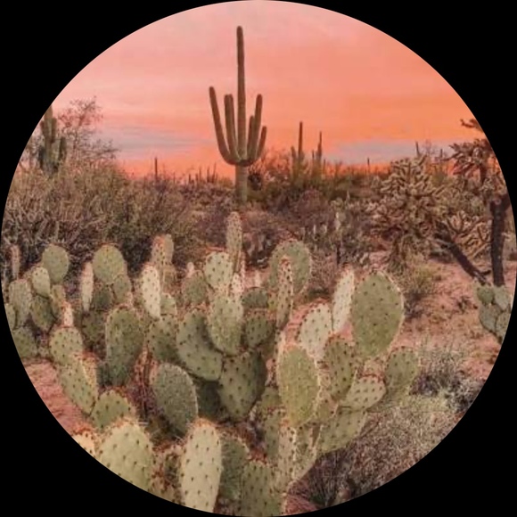 thedesertgems